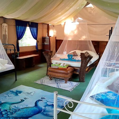 Fully Furnished Family Jungle Tent, Latino Glamping Paquera Exteriér fotografie
