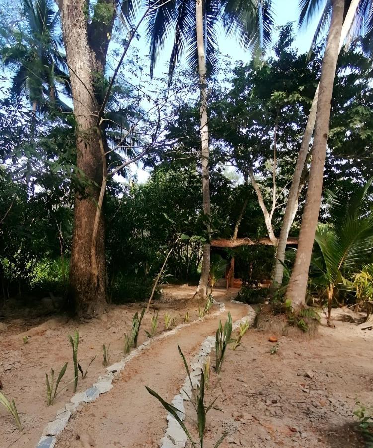 Fully Furnished Family Jungle Tent, Latino Glamping Paquera Exteriér fotografie