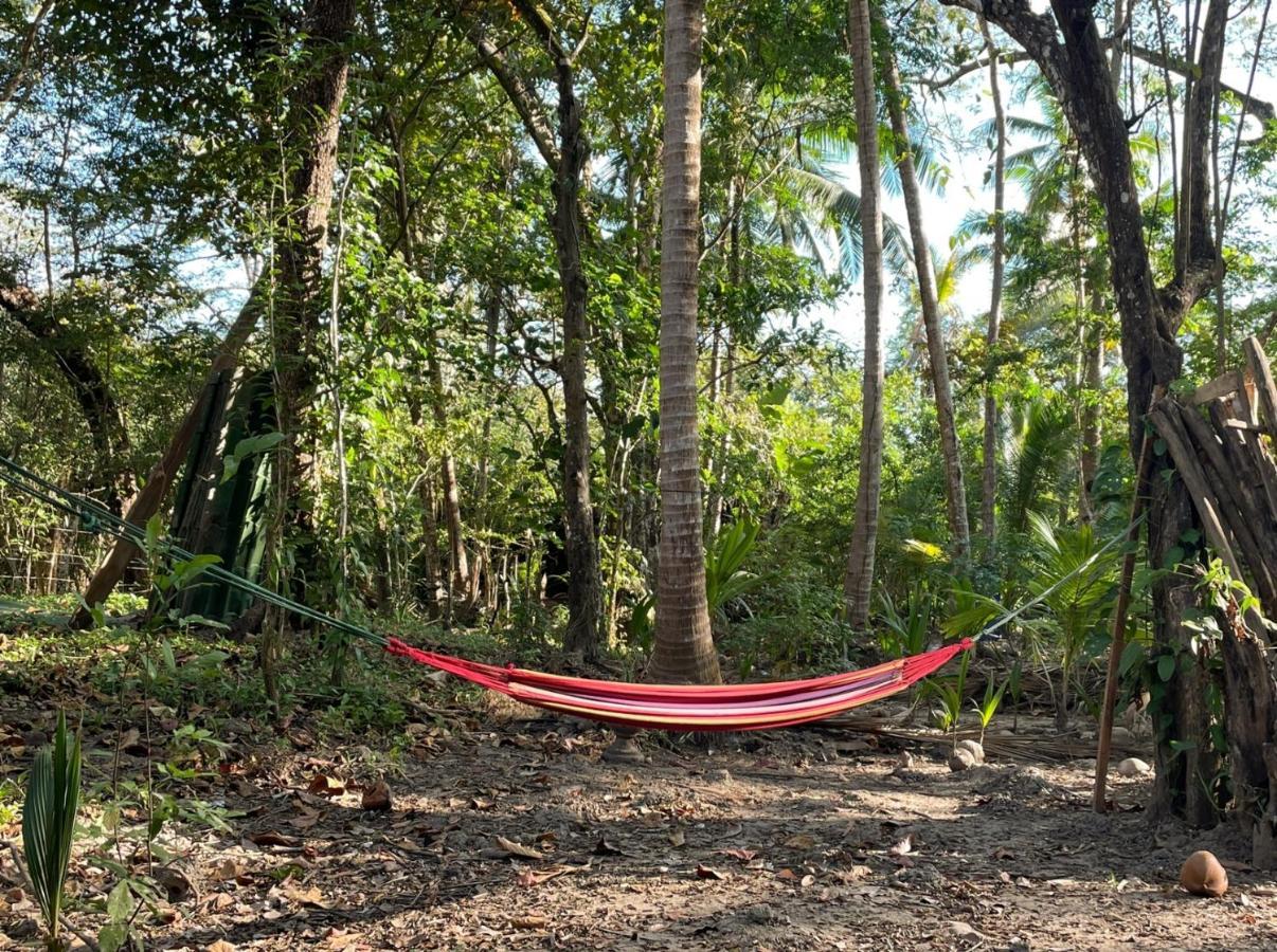 Fully Furnished Family Jungle Tent, Latino Glamping Paquera Exteriér fotografie