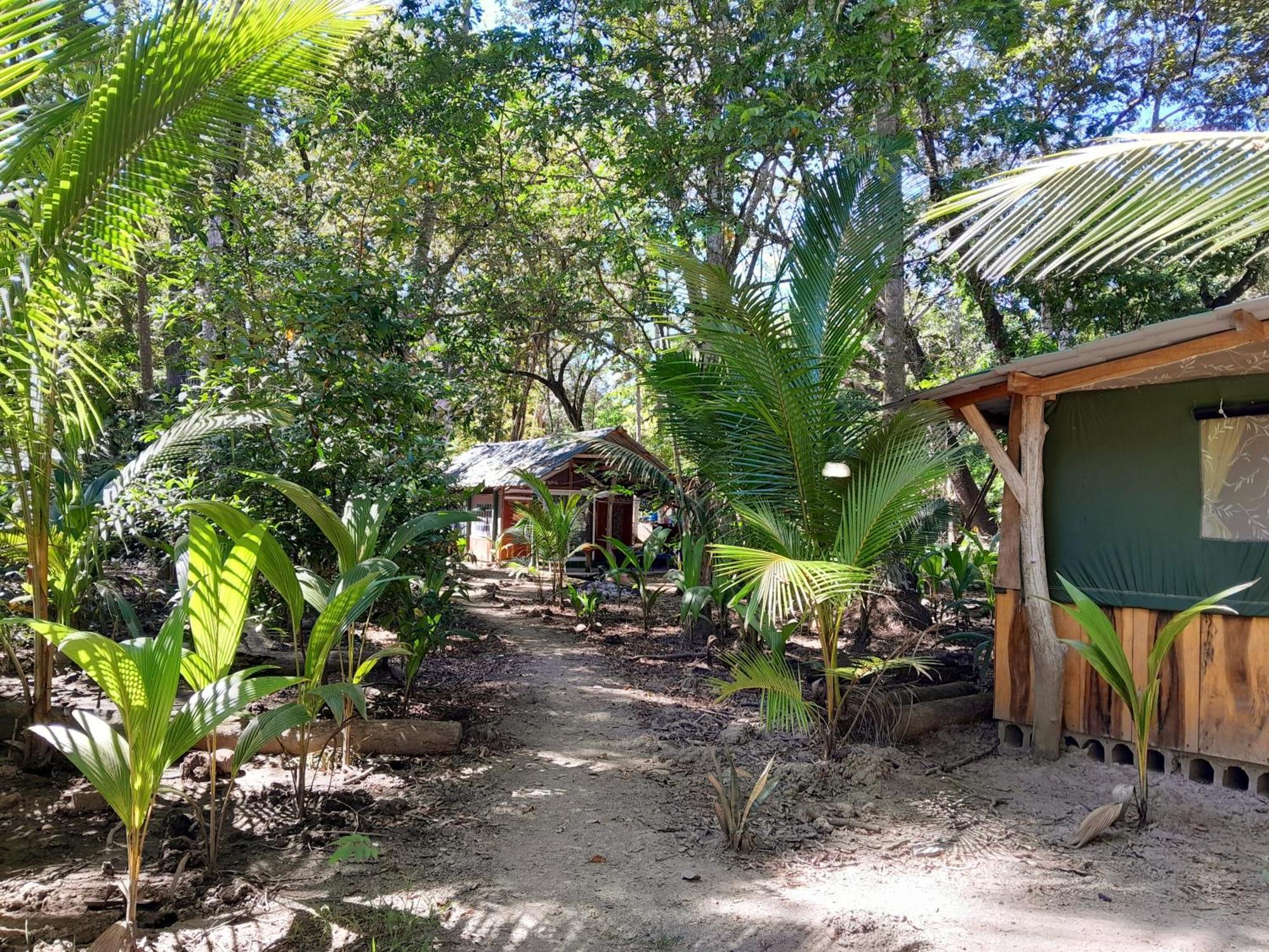 Fully Furnished Family Jungle Tent, Latino Glamping Paquera Exteriér fotografie