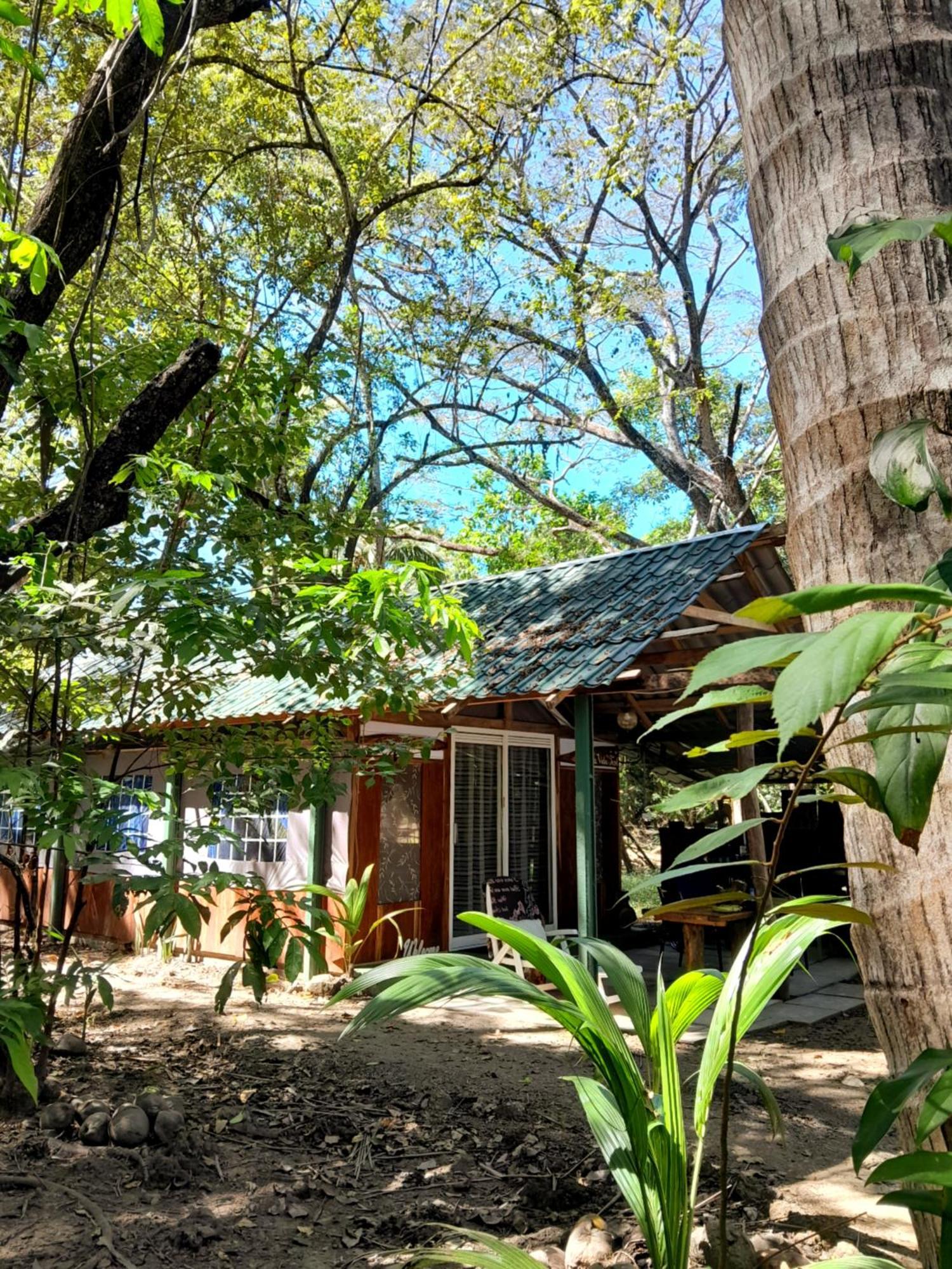 Fully Furnished Family Jungle Tent, Latino Glamping Paquera Exteriér fotografie