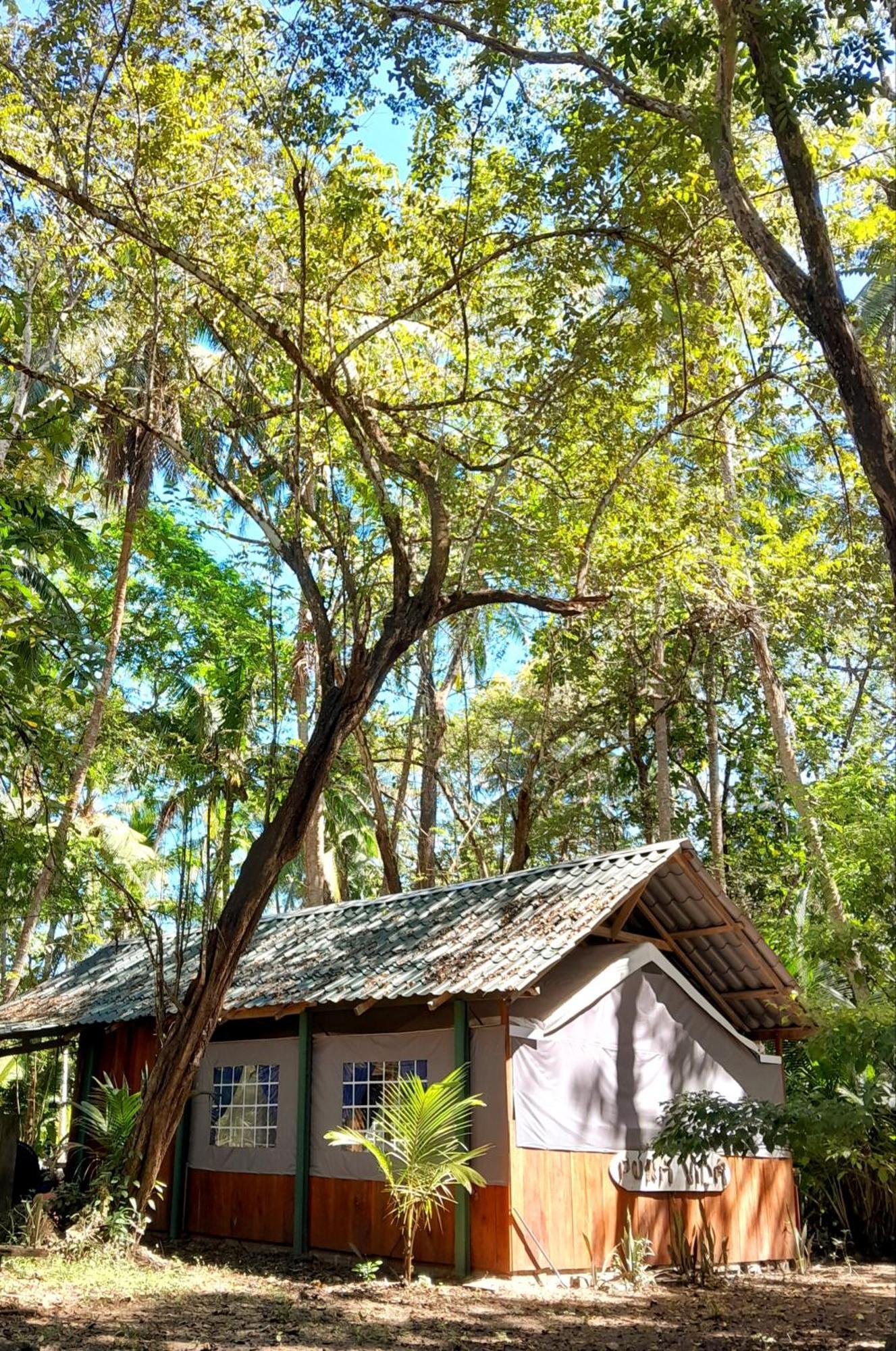 Fully Furnished Family Jungle Tent, Latino Glamping Paquera Exteriér fotografie
