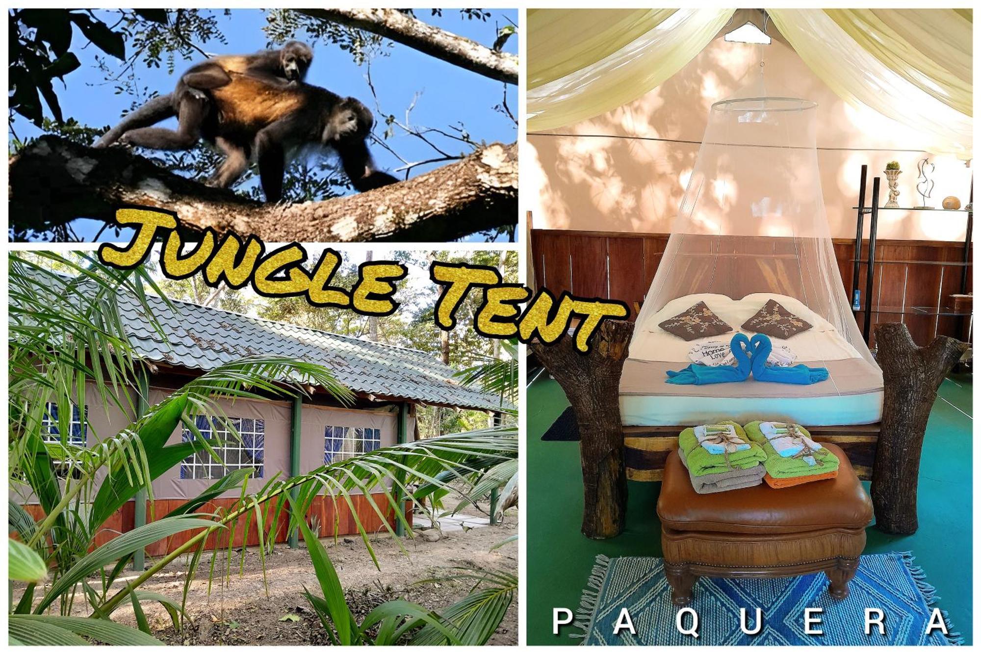 Fully Furnished Family Jungle Tent, Latino Glamping Paquera Exteriér fotografie