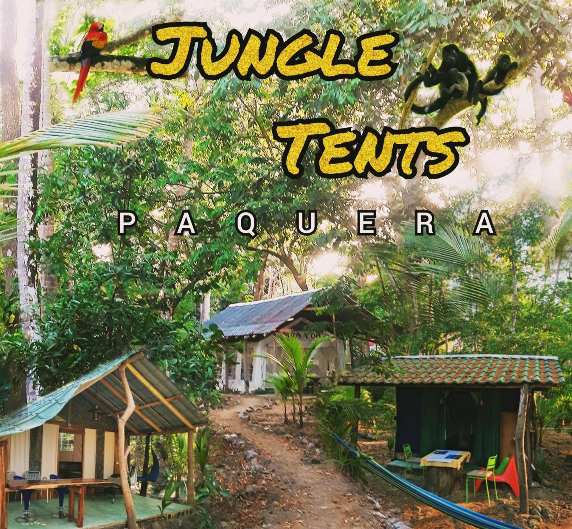 Fully Furnished Family Jungle Tent, Latino Glamping Paquera Exteriér fotografie