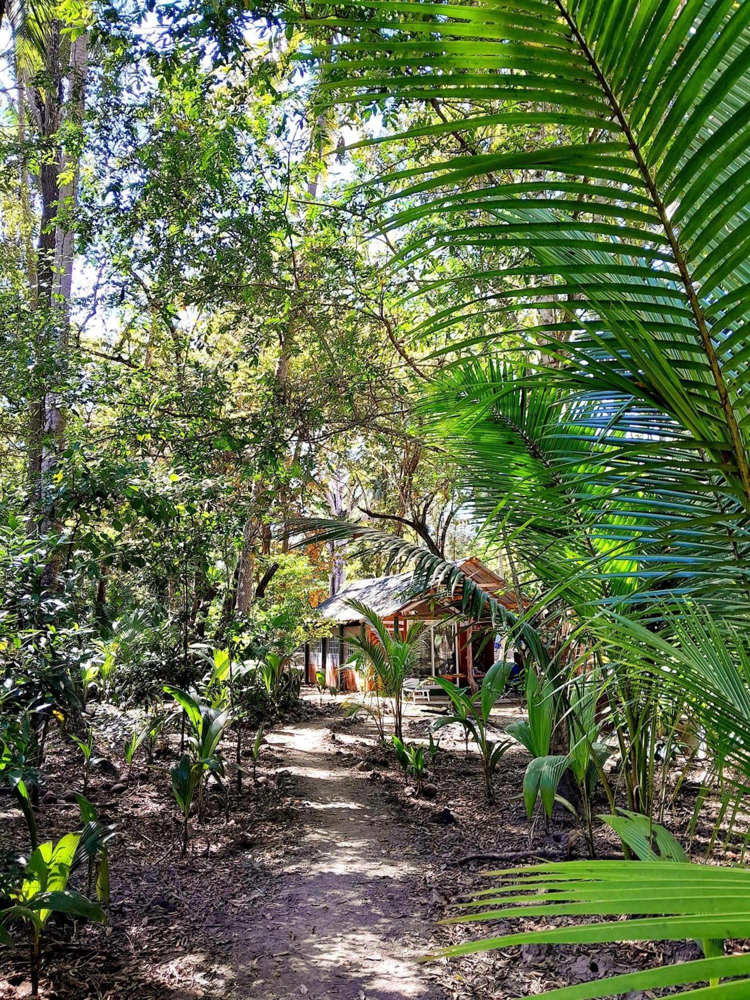 Fully Furnished Family Jungle Tent, Latino Glamping Paquera Exteriér fotografie
