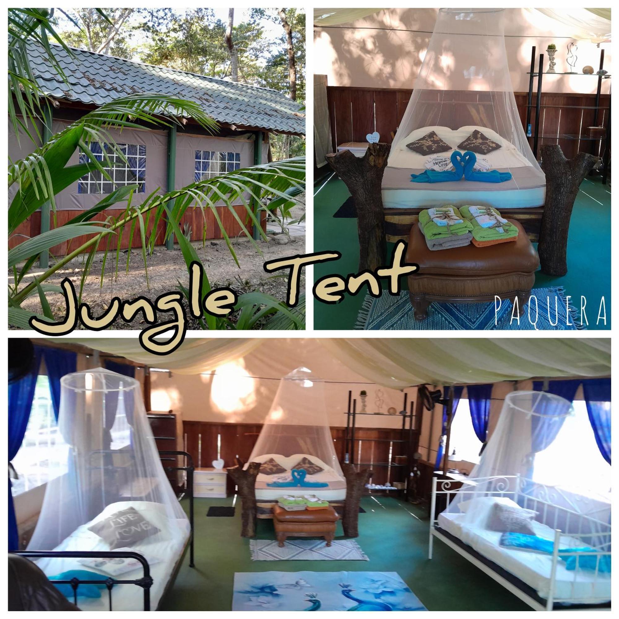 Fully Furnished Family Jungle Tent, Latino Glamping Paquera Exteriér fotografie