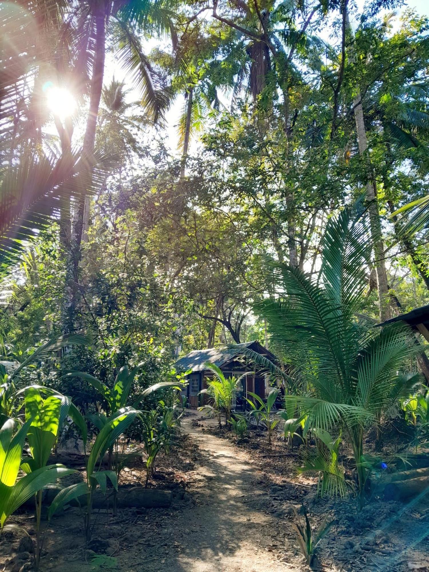 Fully Furnished Family Jungle Tent, Latino Glamping Paquera Exteriér fotografie